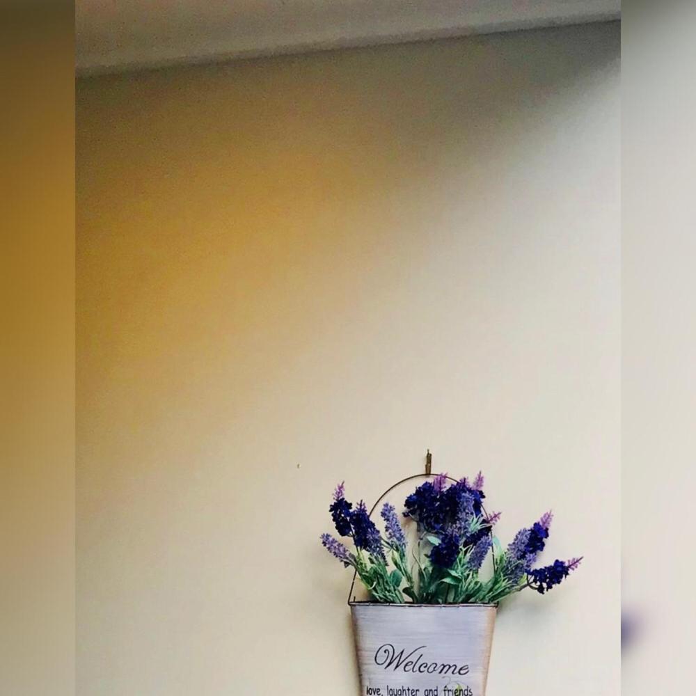 Wendy'S Villa Auckland Bagian luar foto
